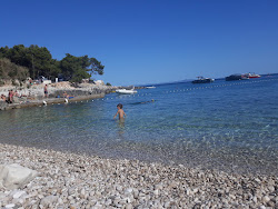 Notos Hvar beach'in fotoğrafı küçük koy ile birlikte