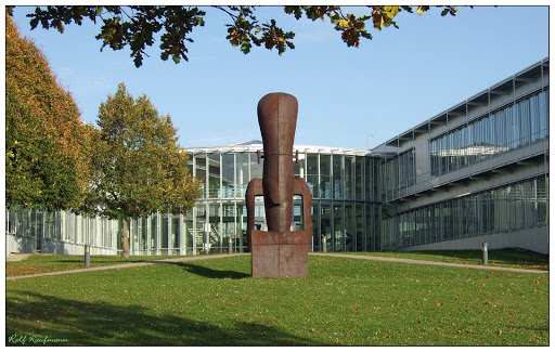 Institut für Technische Biochemie (ITB)
