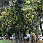 Photo n°8 de l'avis de Rita. fait le 07/06/2021 à 17:12 sur le  Ristorante Checo à Lido di Volano
