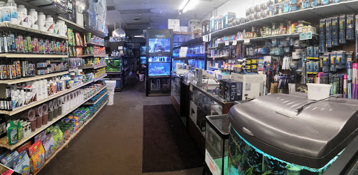Pet Store «Pet Connection», reviews and photos, 29551 Five Mile Road, Livonia, MI 48154, USA