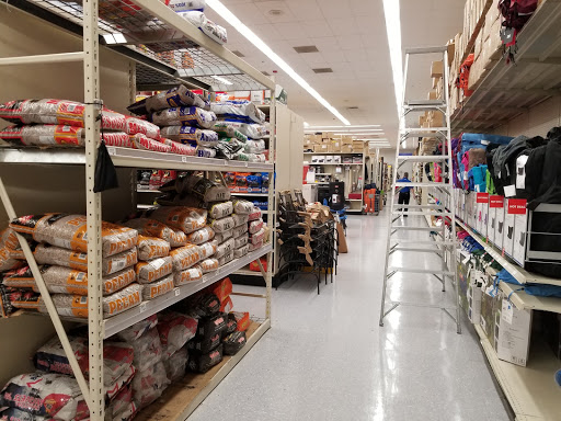 Sporting Goods Store «Academy Sports + Outdoors», reviews and photos, 15350 I-35, Selma, TX 78154, USA