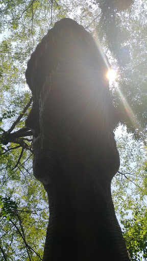 Amusement Center «Dinosaur World», reviews and photos, 711 Mammoth Cave Rd, Cave City, KY 42127, USA