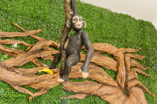 Car Wash «Rainforest Car Wash», reviews and photos, 3365 Center Rd, Brunswick, OH 44212, USA