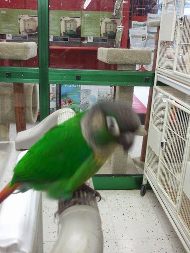 Pet Supply Store «Petco Animal Supplies», reviews and photos, 1331 Hooper Ave, Toms River, NJ 08753, USA