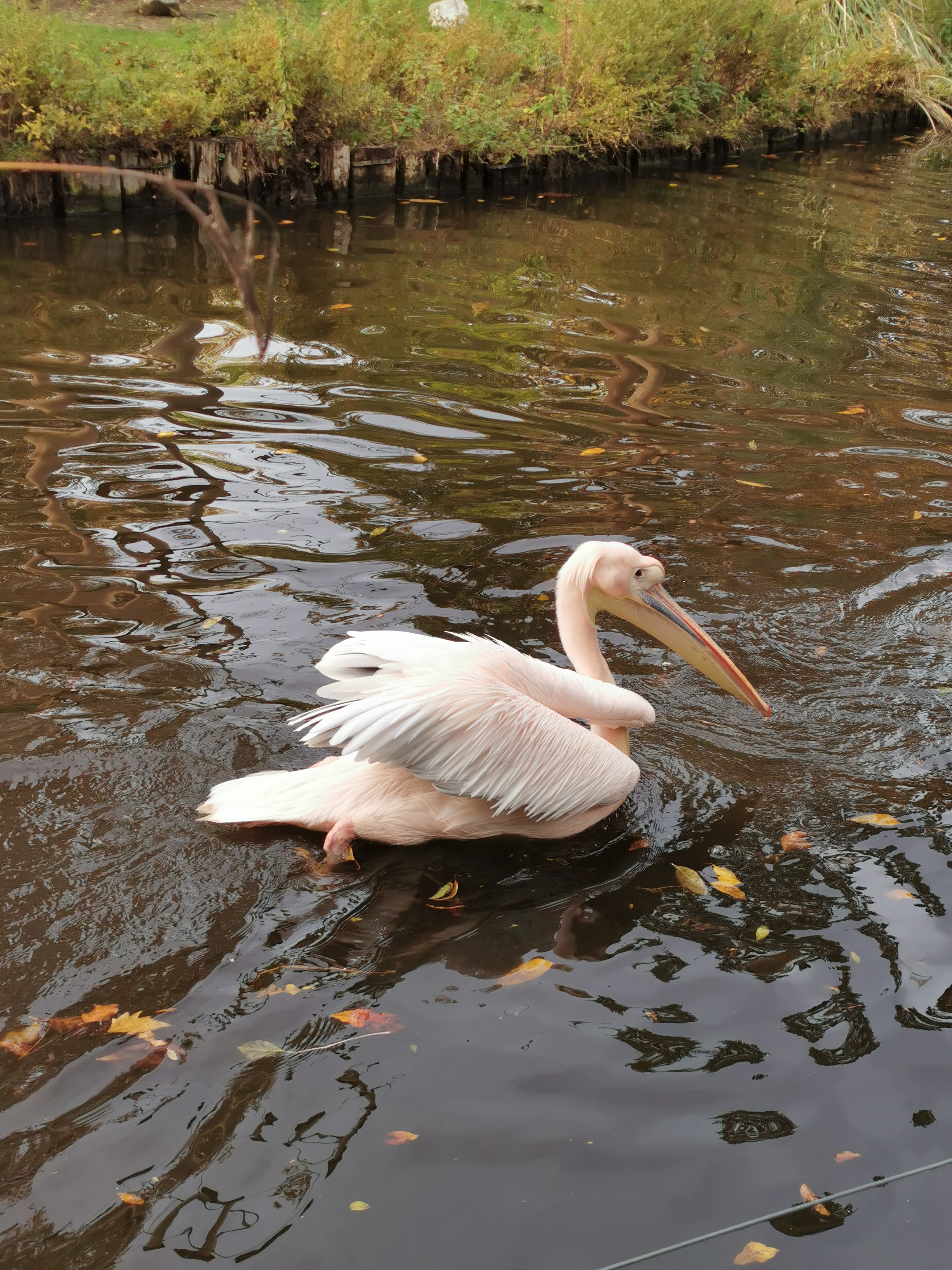 Photo n° 2 de l'avis de sabrina.e fait le 31/10/2020 à 21:38