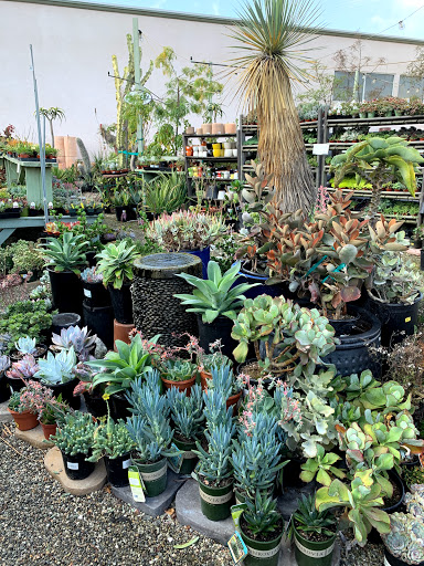 Garden Center «International Garden and Floral Design Center», reviews and photos, 155 N Sepulveda Blvd, El Segundo, CA 90245, USA