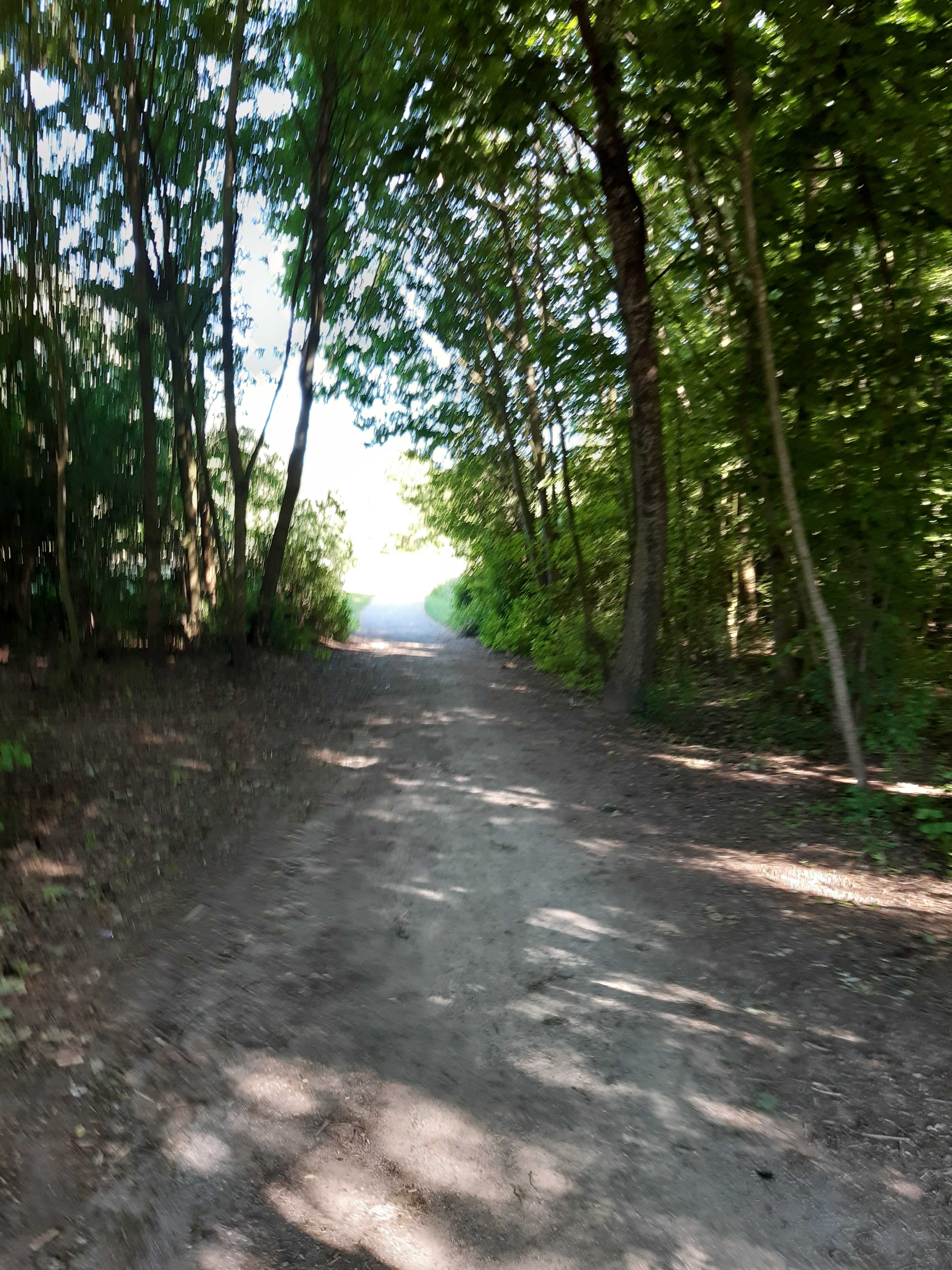 Photo n° 2 de l'avis de Matthieu. fait le 14/06/2020 à 16:58