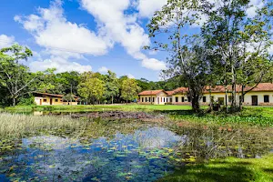 Jardim Botânico Benjamim Maranhão image