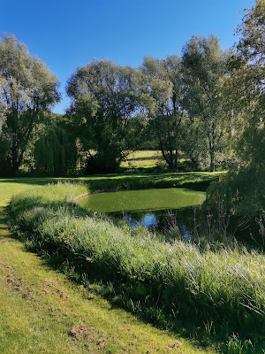 Parc de Rouelles (La Bouteillerie) à Le Havre