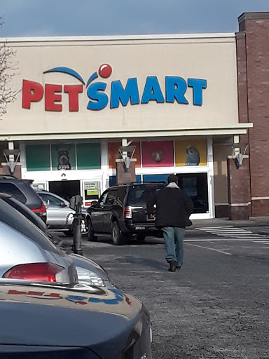 Pet Supply Store «PetSmart», reviews and photos, 3995 Welsh Rd, Willow Grove, PA 19090, USA