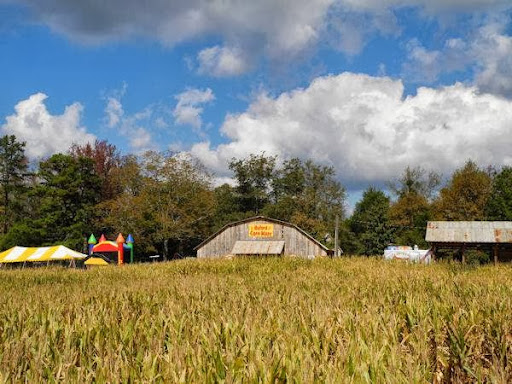 Farm «Buford Corn Maze.», reviews and photos, 4470 Bennett Rd, Buford, GA 30519, USA