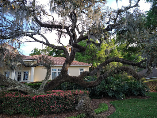 Park «Lake Lily Park», reviews and photos, 900 S Orlando Ave, Maitland, FL 32751, USA