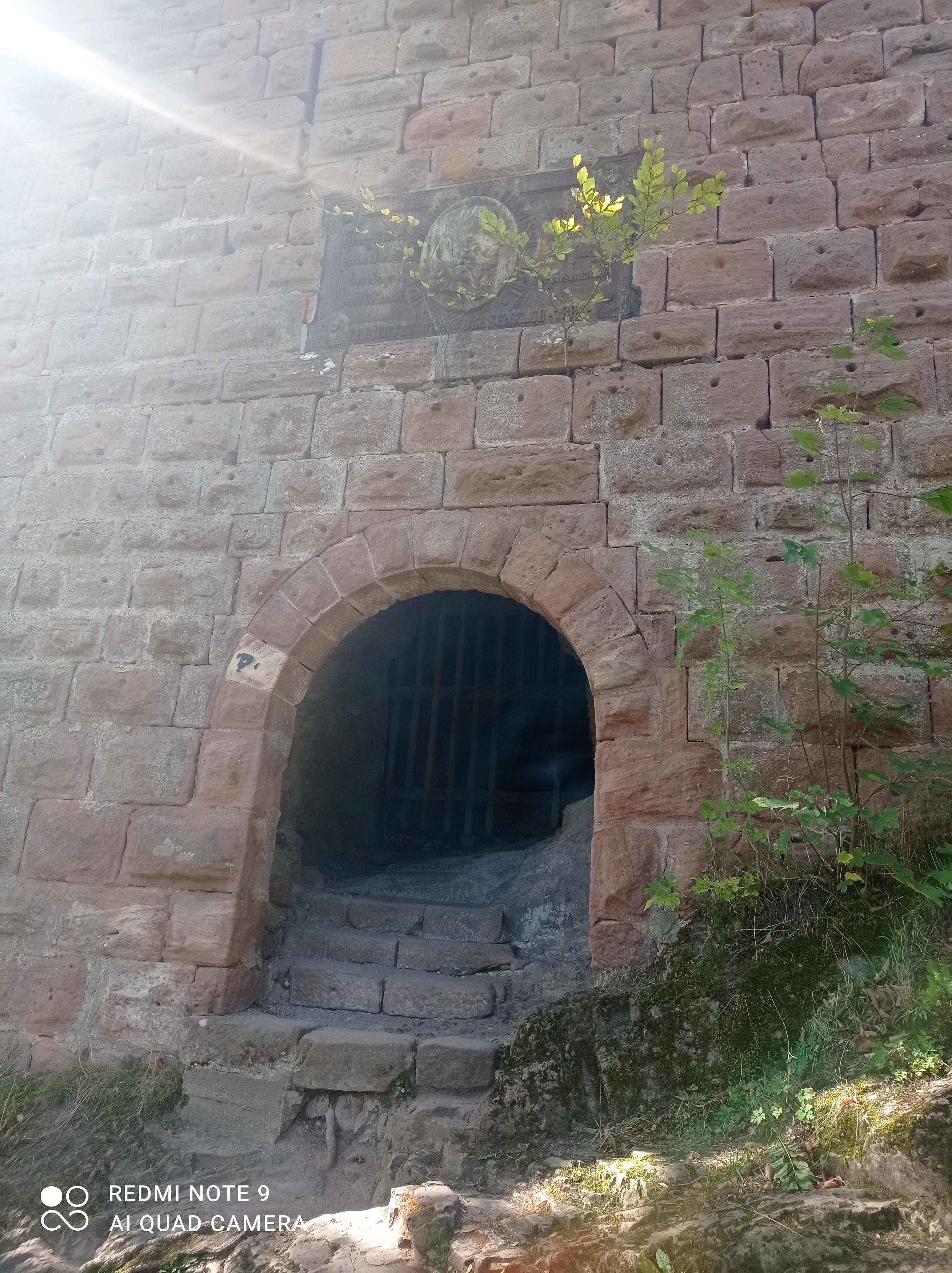 Photo n° 5 de l'avis de Florian.u fait le 25/09/2023 à 13:11