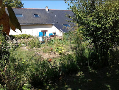 Gite en Anjou: Piscine Chauffee, nature et comfort à Tiercé