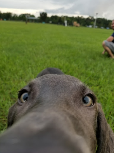 Park «Creekwood Park», reviews and photos, 7025 44th Ave E, Bradenton, FL 34205, USA