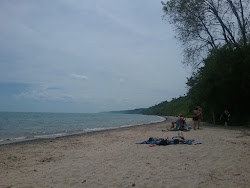 Photo de Port Washington South Beach situé dans une zone naturelle