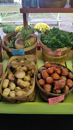 Produce Market «Poor Boys Produce & Vegetable», reviews and photos, 263 US-158, Camden, NC 27921, USA