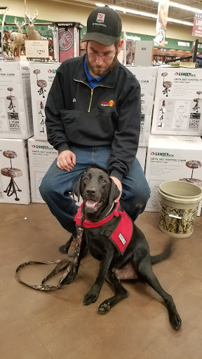 Sporting Goods Store «Gander Mountain», reviews and photos, 528 Harry L Dr, Johnson City, NY 13790, USA