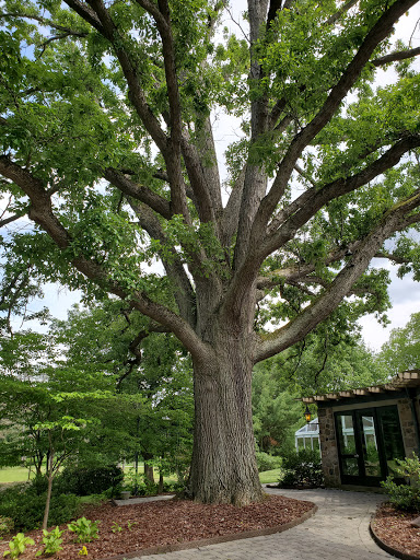 Wedding Venue «The Beverly Mansion», reviews and photos, 6681 OH-229, Marengo, OH 43334, USA