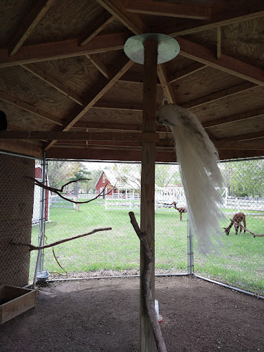 Zoo «Sibley Farm», reviews and photos, 900 Mound Avenue, Mankato, MN 56001, USA