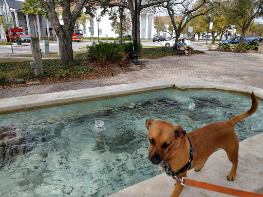 Park «Balis Park», reviews and photos, 1999 San Marco Blvd, Jacksonville, FL 32207, USA