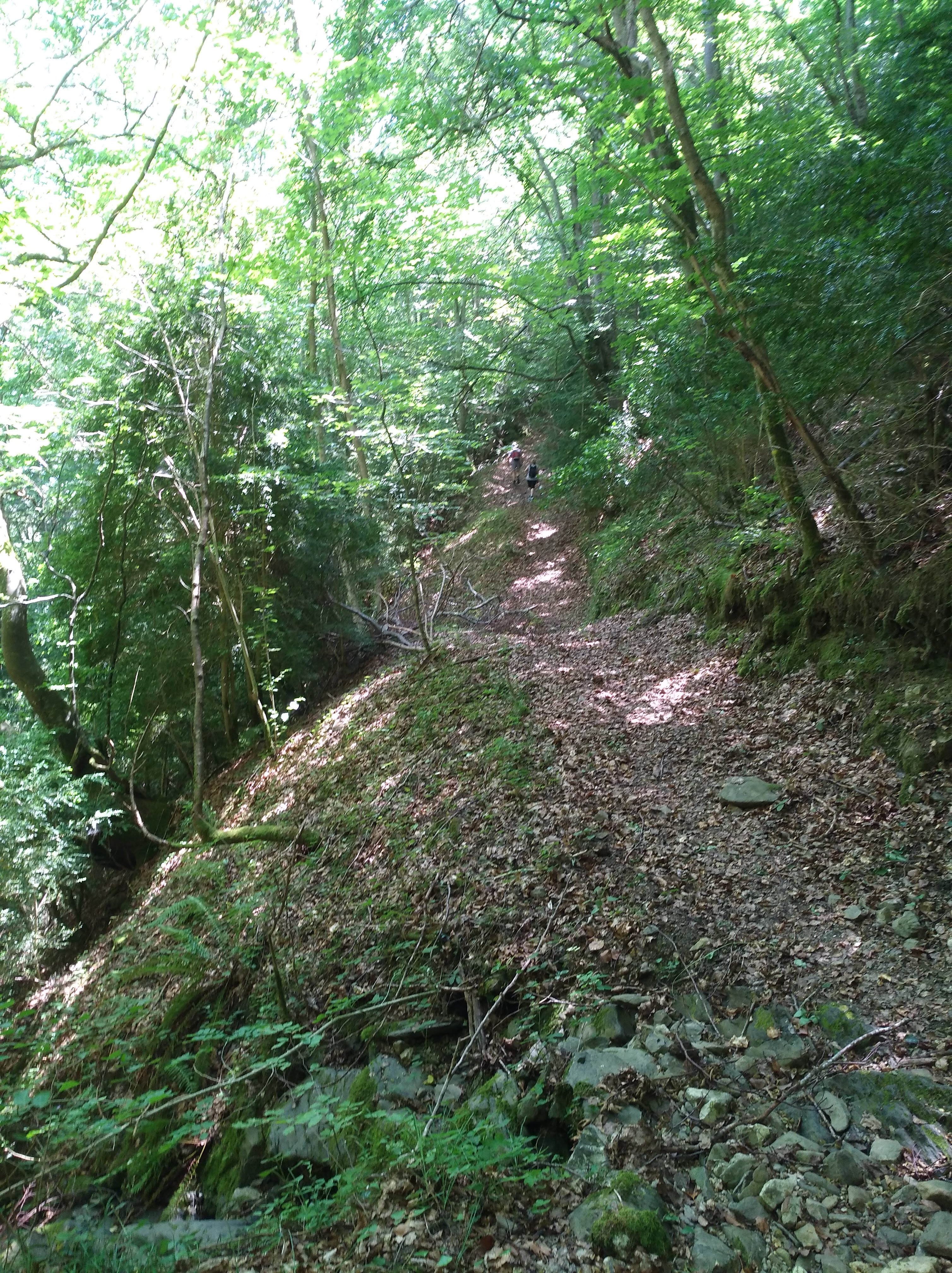 Photo n° 1 de l'avis de Nadine.o fait le 17/07/2018 à 15:02