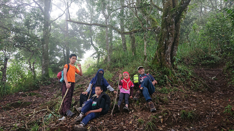 Mendaki di Kabupaten Garut: Menikmati Keindahan Alam dengan Jumlah Tempat Wisata Tempat yang Menarik