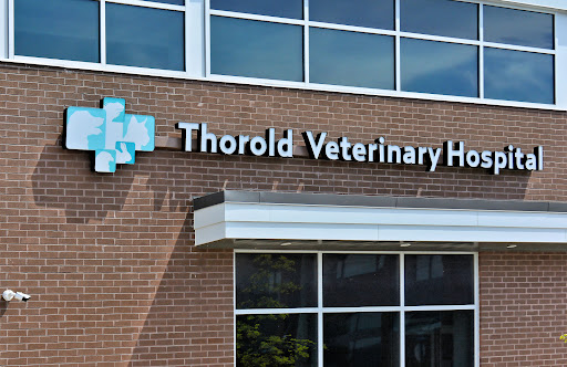 Thorold Veterinary Hospital image