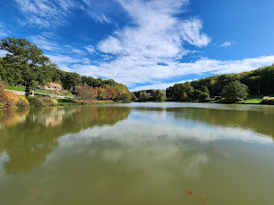 Photo n°12 de Etang des Roses à Sauvigny-les-Bois ()