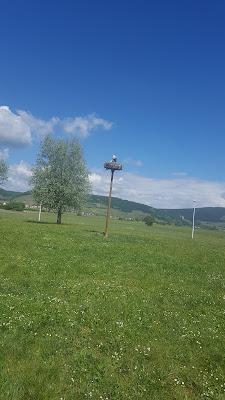 Aire de covoiturage de Châtenois à Châtenois