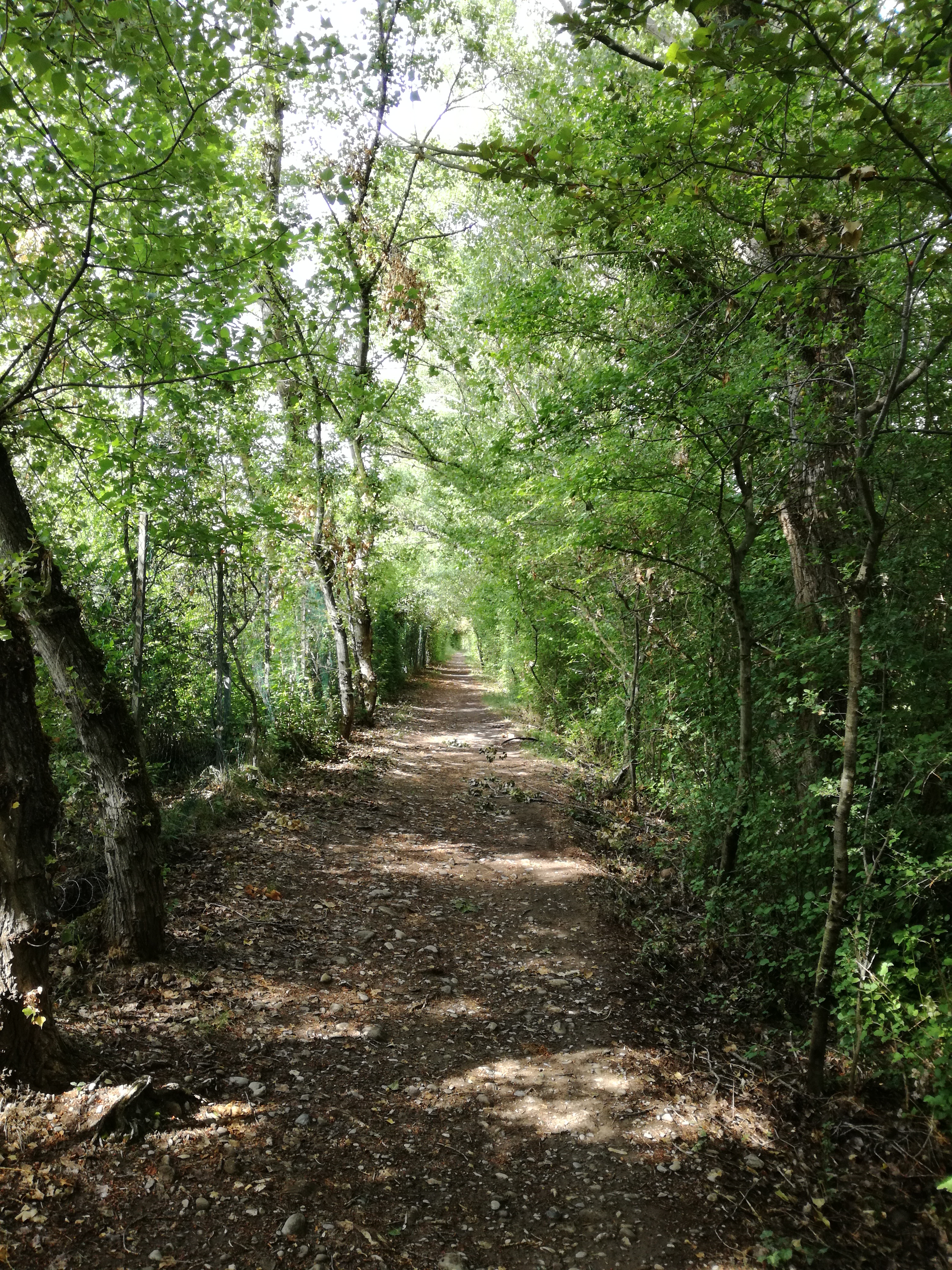 Photo n° 2 de l'avis de Melanie.e fait le 10/07/2019 à 18:03