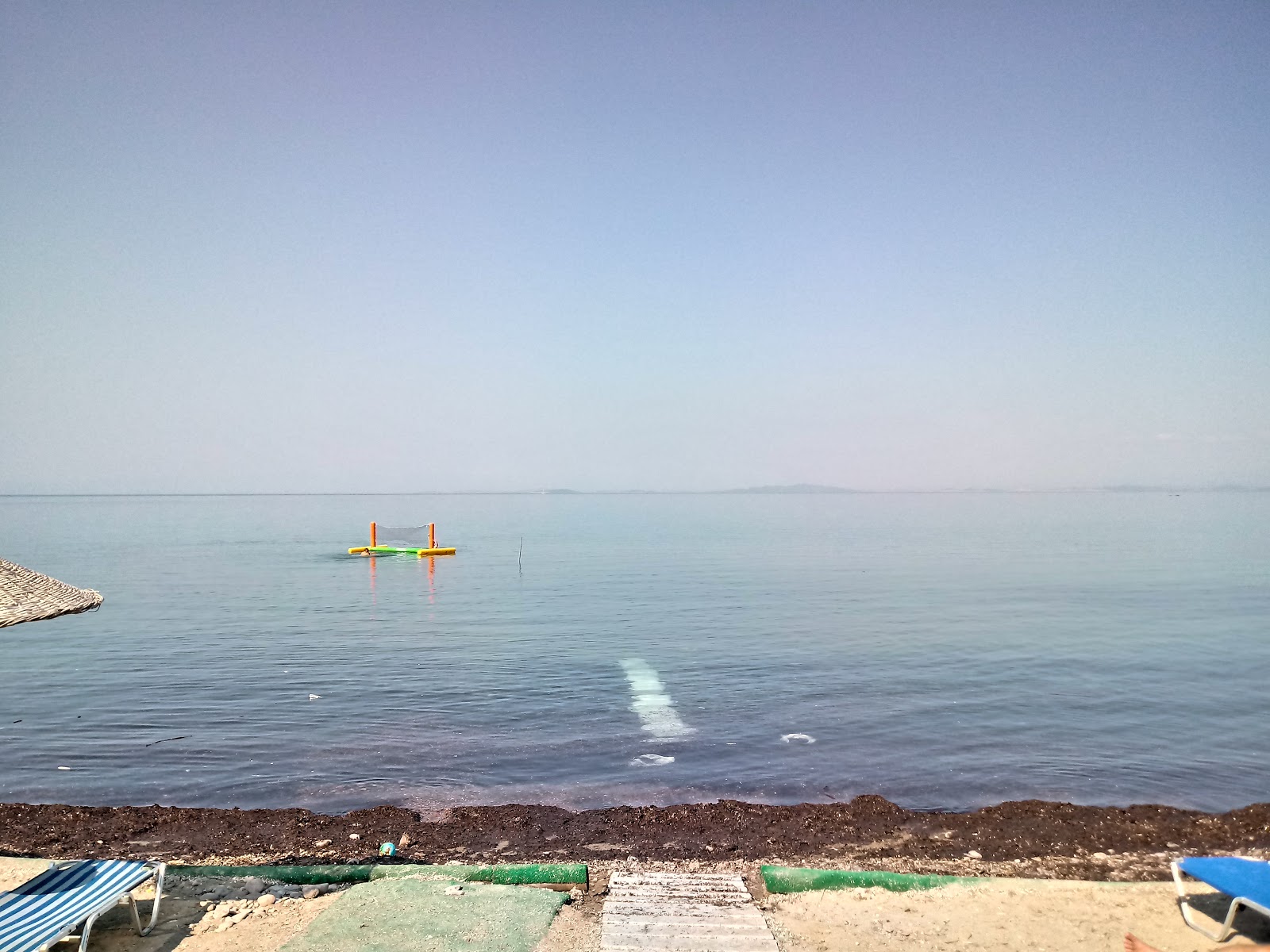 Paralia Xampelia photo #9