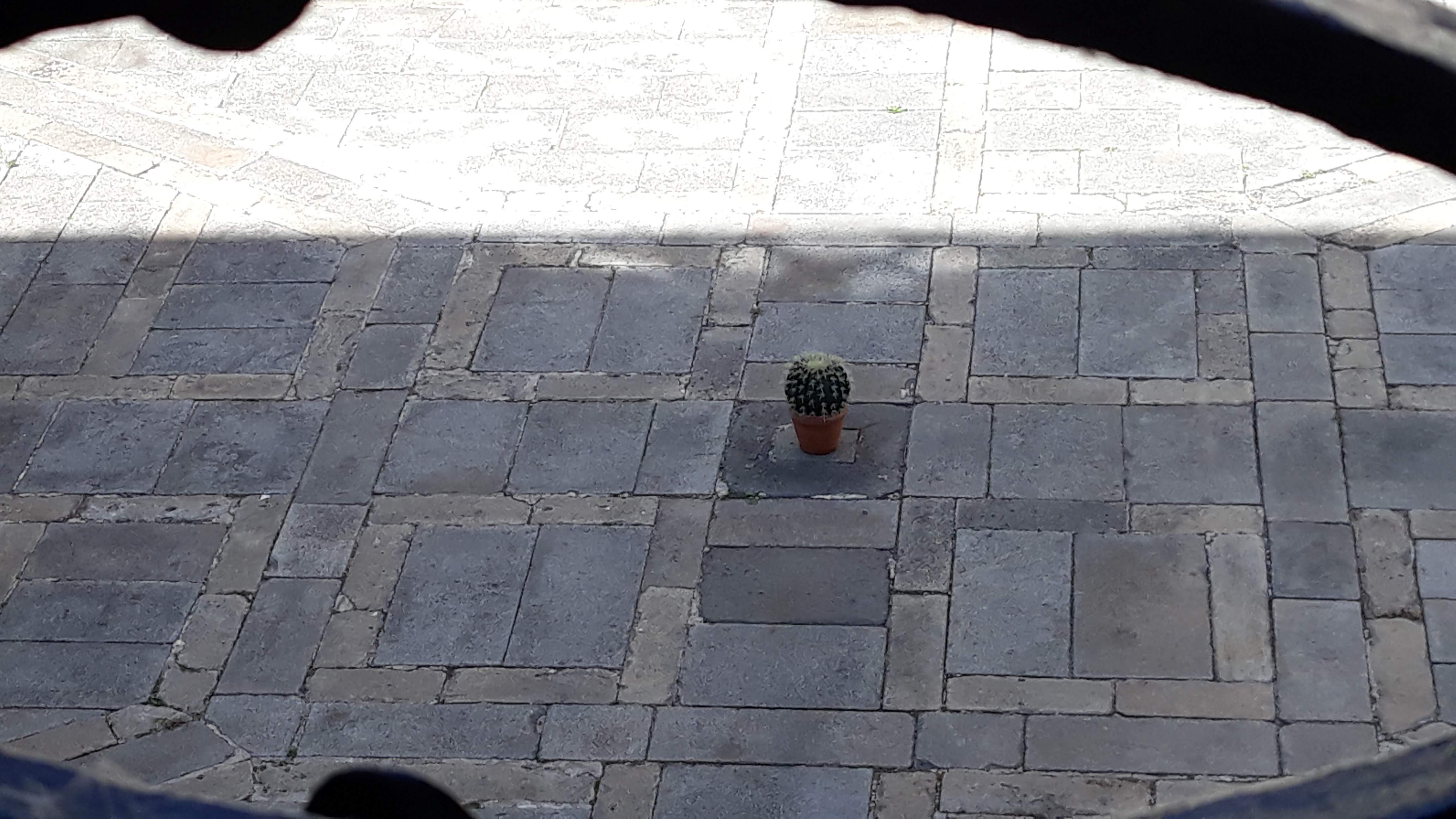 Photo n° 13 de l'avis de Craspec.a fait le 26/08/2019 à 21:24
