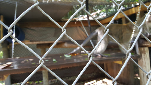 Tourist Attraction «Walton House», reviews and photos, 28501 SW 187th Ave, Homestead, FL 33030, USA