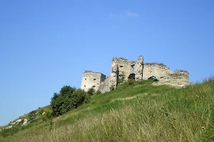 Kudryntsi Castle image