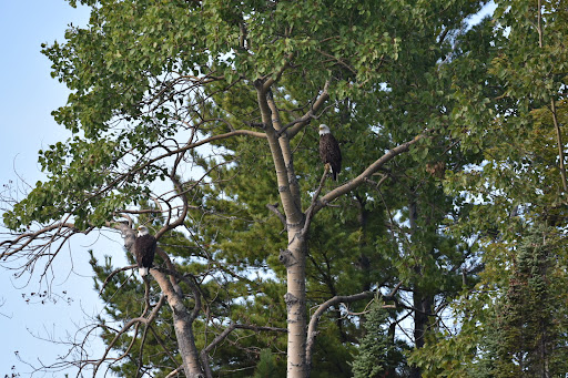 National Park «Apostle Islands National Lakeshore», reviews and photos, 415 Washington Ave, Bayfield, WI 54814, USA