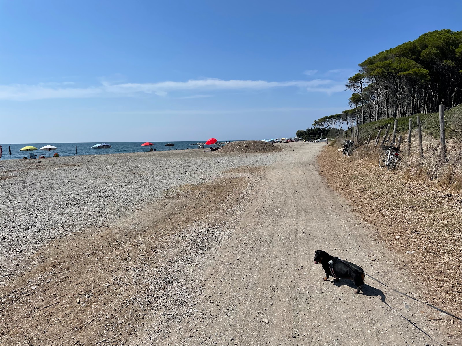 Foto de Bau Beach Le Gorette - buen lugar amigable para mascotas para vacacionar