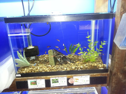 Pet Store «Laconia Pet Center», reviews and photos, 1343 Union Ave, Laconia, NH 03246, USA