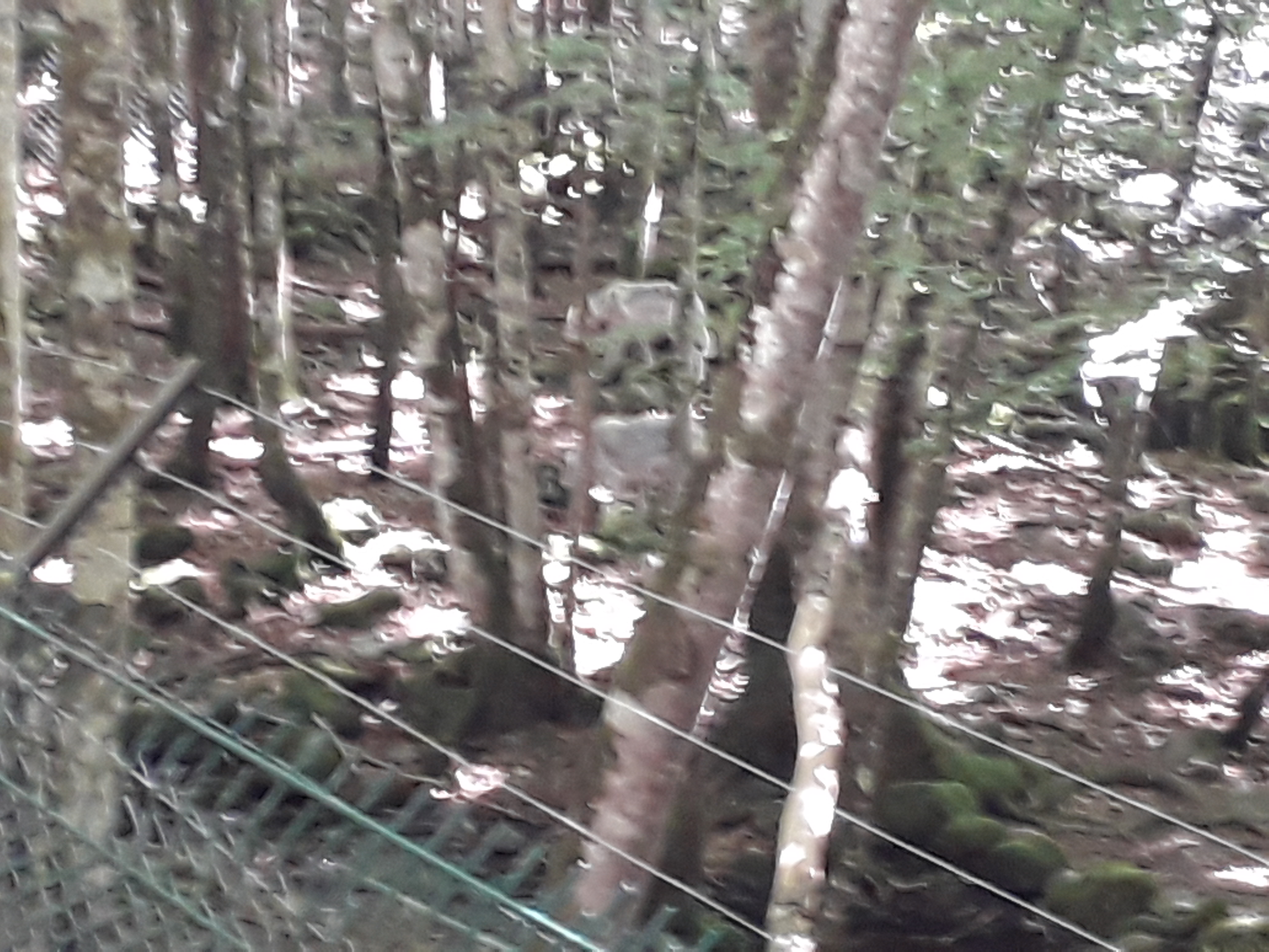 Photo n° 7 de l'avis de Franck.i fait le 19/07/2020 à 15:45