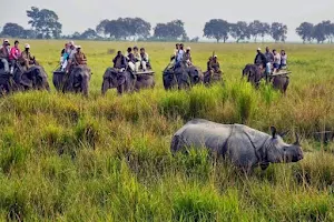 Jaldapara National Park image