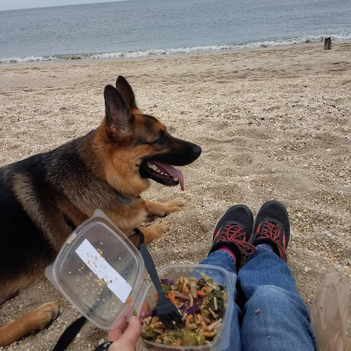 Grocery Store «Cape May Market», reviews and photos, 120 Park Blvd, Cape May, NJ 08204, USA