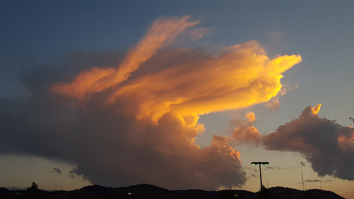 Office Supply Store «Staples», reviews and photos, 16630 W Colfax Ave, Golden, CO 80401, USA