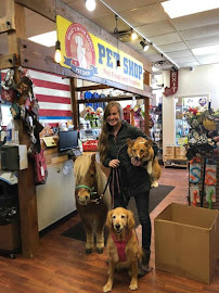 What's In The Bowl Pet Shop - - Pet Supplies - Pet Store - New Berlin - Photo 3 - Car repair in New Berlin, WI, Milwaukee