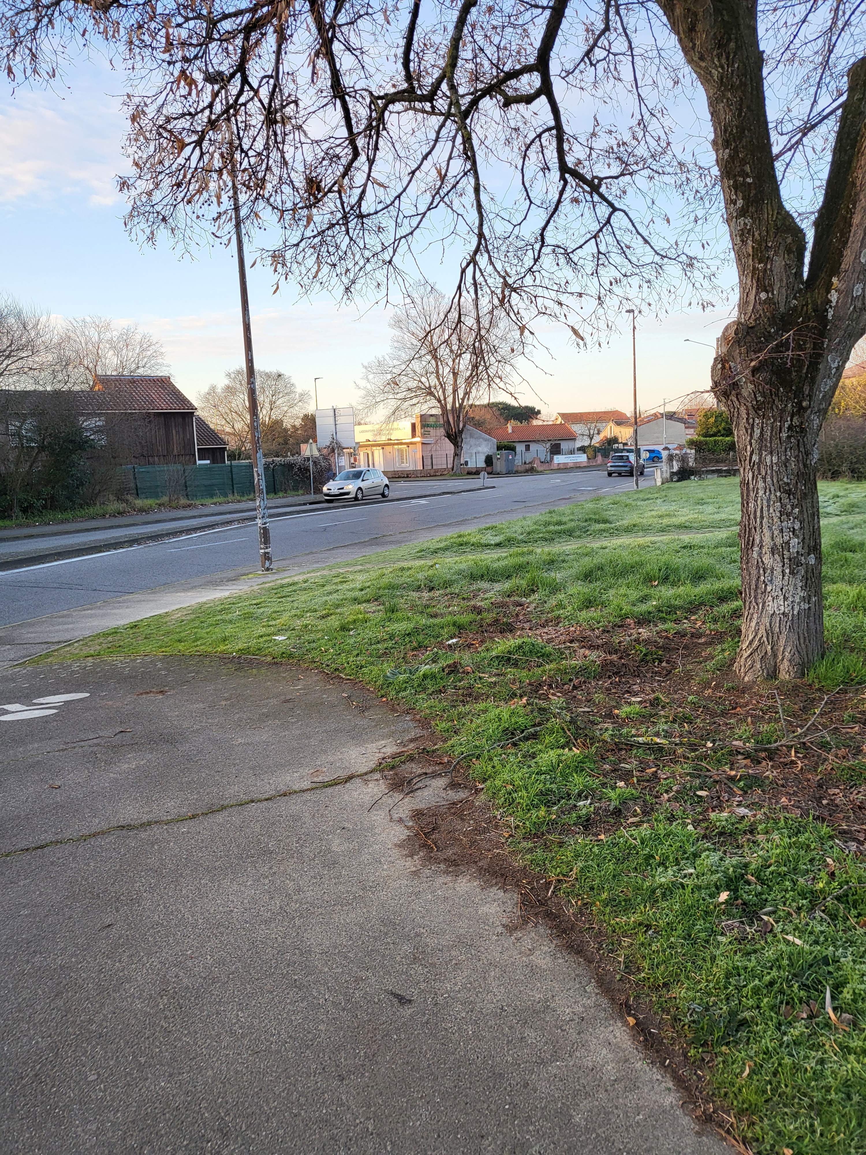 Photo n° 26 de l'avis de F. fait le 08/02/2023 à 10:13