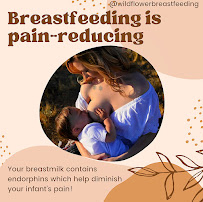 Wildflower Breastfeeding - Photo 4 - Car repair in Colorado Springs, CO, Colorado Springs