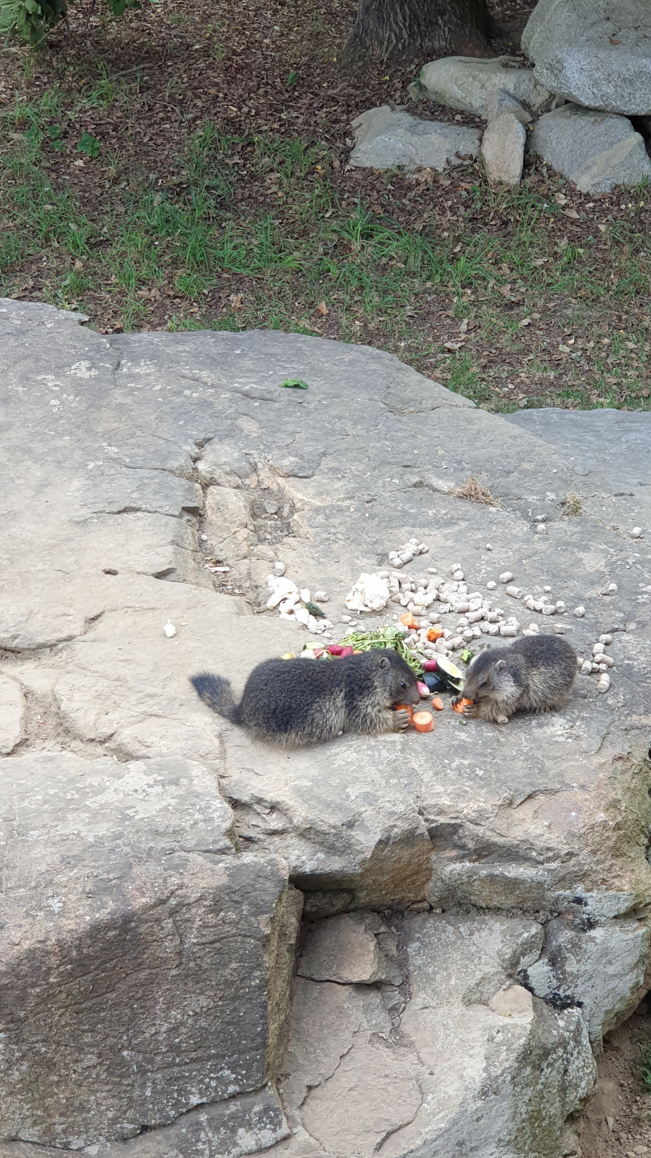 Photo n° 15 de l'avis de frédéric.e fait le 21/07/2022 à 14:28