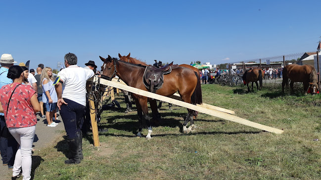 GRĂDINIŢA PROGRAM PRELUNGIT ARDUD - Grădiniță