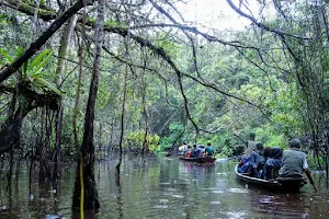 Reserva Ecológica Tingana image