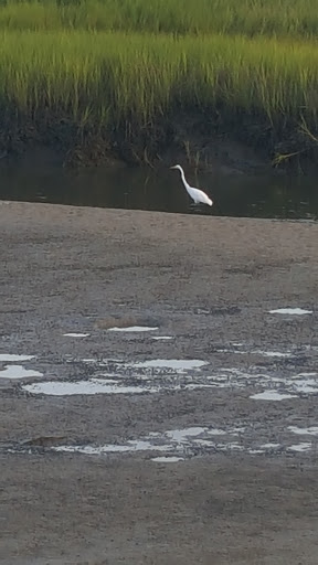 Park «Sanford D. Cox, Sr. Community Park», reviews and photos, 470 Elizabeth Dr, Murrells Inlet, SC 29576, USA