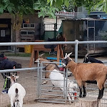 Photo n°1 de l'avis de Audi.u fait le 20/09/2022 à 08:23 sur le  Marina Kissinger Kaffee & mehr... à Schwaigern